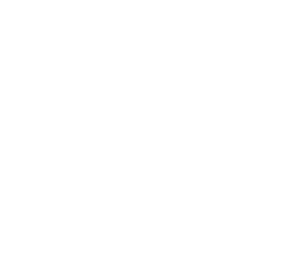 Service-Disabled Veteran-Owned Small Business (SDVOSB)