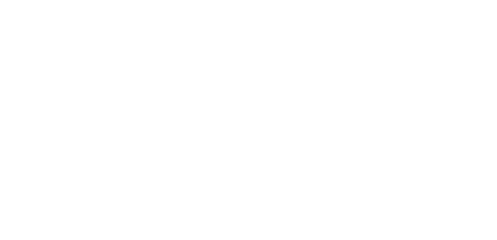 Disabled Veteran Business Enterprise (DVBE)