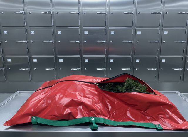 The red Sleigh Bag with green handles on a stainless steel table in front of a wall of steel cooler doors, partly unzipped with a green tree inside.